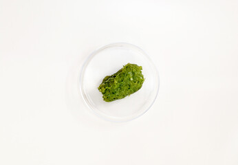 Piece of meat produced from vegetables in the laboratory. Concept of plant-based meat.