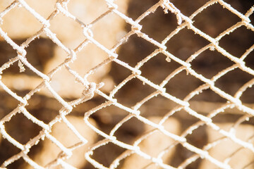 Metal mesh background. The texture of the dust on the grid. Abstract shadows in the background. Sunlight.