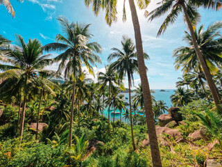 Fototapeta na wymiar Beaches and coconut palms on a tropical island