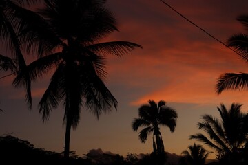 Obraz premium sunset