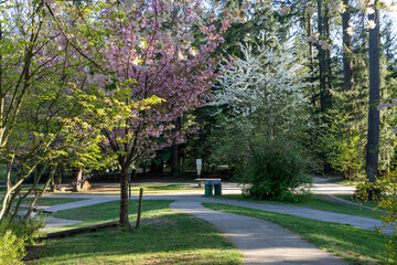 Burnaby, British Columbia, Canada - April 22 2021 : Central Park in springtime.