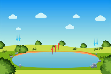 Obraz premium Water cycle process with a pond and blue sky. Evaporation, condensation, and precipitation process infographic diagram for the study. Green field with bushes and a little pond for water evaporation.