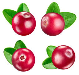 cranberries isolated on white background