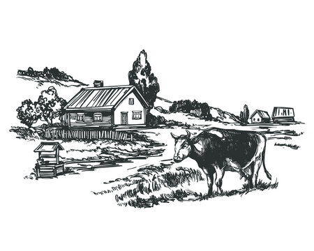 summer day, village, landscape, cow hand drawn vector illustration realistic sketch