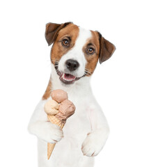 Happy Jack Russell Terrier puppy holds ice cream. isolated on white background