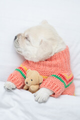 Cozy Golden retriever puppy wearing warm sweater sleeps under white blanket on a bed at home and hugs favorite toy bear. Top down view