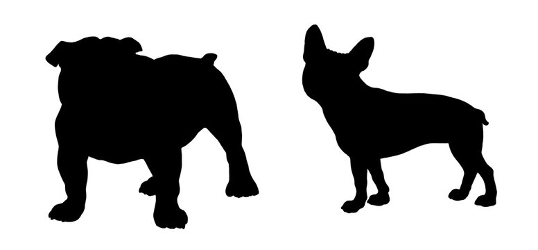 French and english bulldogs silhouette drawing. Isolated illustration with dogs.	
