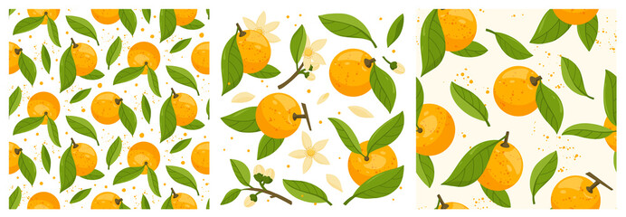 Collection and seamless patterns of orange tree branches with fruits, leaves and flowers isolated on white background. Fresh citrus. Exotical tropical plant. Flat vector illustration.