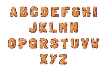 Gingerbread cartoon alphabet. Font from letters in the form of gingerbread with chocolate chips. Cookie lettering. Isolated objects for books, textile, cards, t-shirt prints. Vector hand drawn style.