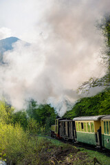 Moving steam train Mocanita in Romania