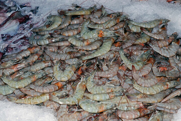 fresh shrimps or prawns on an ice bed in a seafood market stall