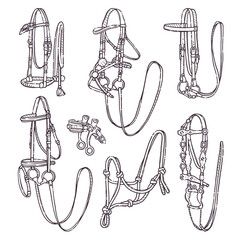 Different types of horse bridles. Collection equestrian ammunition for backgrounds, wallpapers, textile, postcards, t-shirt prints. Set elements for horses. Vector hand drawn style illustration.