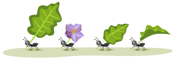 Cute ants carrying a green leaves and purple flower