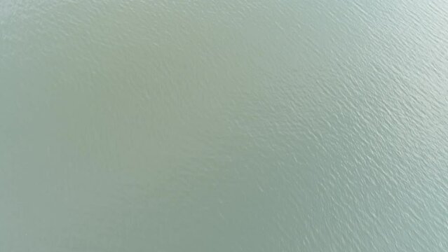  aerial footage of the silky brown sand of the beach surrounded by rippling lake water and lush green trees, grass and plants at Proctor Landing Park at Lake Acworth in Acworth Georgia USA