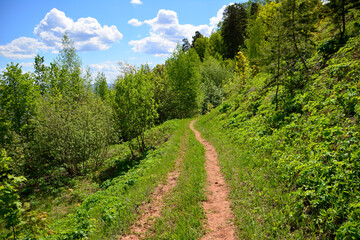 Fototapeta na wymiar countryside road in hills with green trees and blue sky with clouds on background
