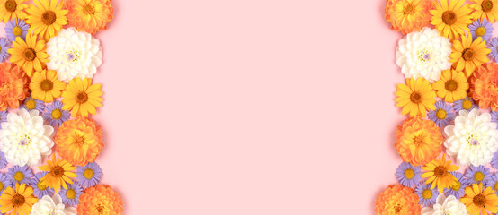 Banner with colorful arnica and dahlia flowers texture on a pink pastel background with copyspace.