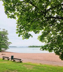 Obraz premium bench in the park