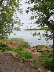 Obraz premium lake in the forest