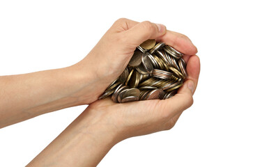 Heap of coins in hand isolated on white background with clipping path