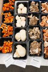 Containers of mixed gourmet mushrooms at a farmers market