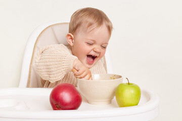 Portrait of excited cute little female baby kid wearing beige sweater sitting in high chair and eating porridge from plate with happy facial expression, isolated over white background.