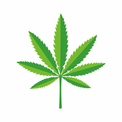 Cannabis marijuana hemp leaf. Vector illustration