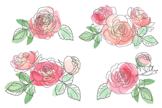 watercolor loose line art rose flower bouquet collection