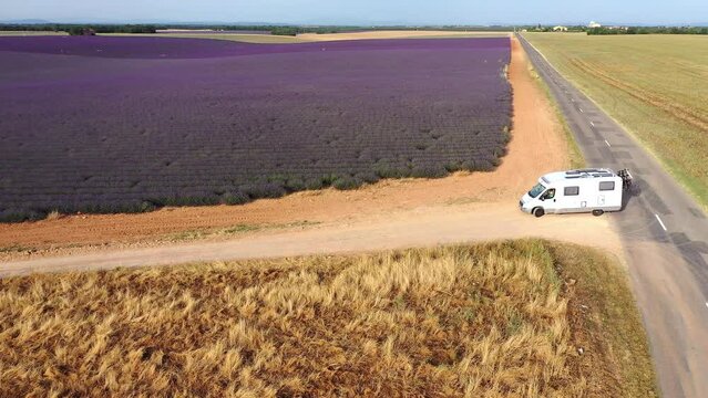 Flug &uuml;ber ein bl&uuml;hendes Lavendelfeld (Lavandula angustifolia), Sommer, blauer Himmel, Landstra&szlig;e mit Autoverkehr, Valensole, D&eacute;partement Alpes-de-Haute-Provence, Provence Alpen C&ocirc;te d&rsquo;Azur, Frankreich