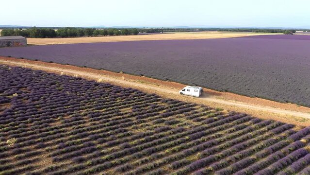 Flug &uuml;ber ein bl&uuml;hendes Lavendelfeld (Lavandula angustifolia), Sommer, blauer Himmel, Landstra&szlig;e mit Autoverkehr, Valensole, D&eacute;partement Alpes-de-Haute-Provence, Provence Alpen C&ocirc;te d&rsquo;Azur, Frankreich