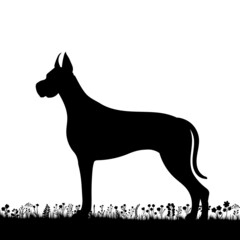 standing dog on grass silhouette on white background