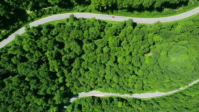 Aerials steady footage of cars driving on curvy mountain road in the green forest