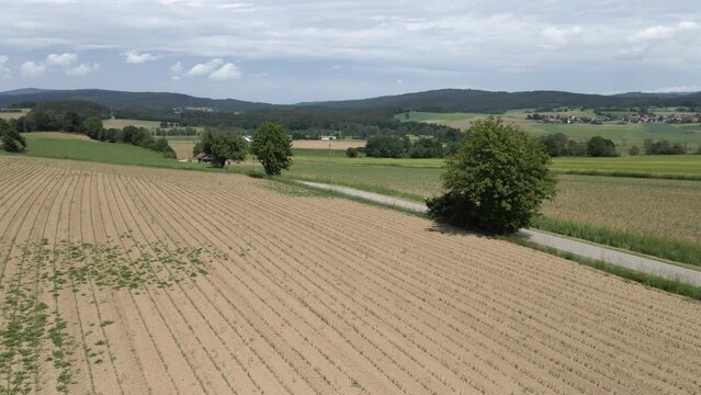 Rural Agricultural Landscape For Farming, Fields end Forest - Aerial Drone Footage