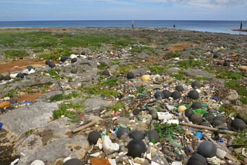 海辺に溜まるプラスチックゴミ