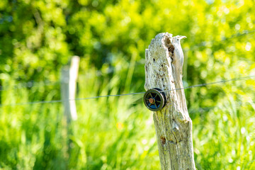 Shallow focus of an old wooden stack used as an electric fence post. Used in a horse paddock.