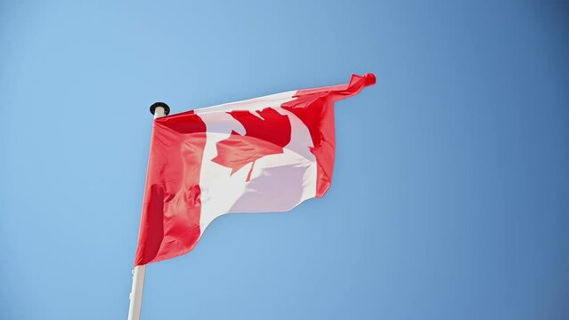 Canadian flag is waving in the wind on the flagpole. Blue sky on the background. Slow motion
