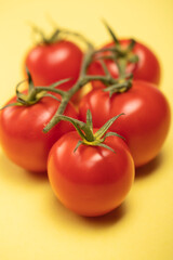 red tomatoes close up