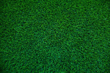 Top view of artificial green grass texture for background. Abstract concept design picture backdrop...