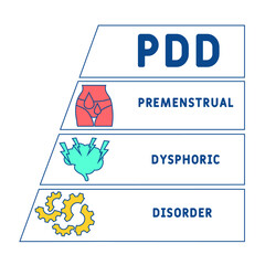 PDD - Premenstrual Dysphoric Disorder acronym. business concept background. vector illustration concept with keywords and icons. lettering illustration with icons for web banner, flyer, landing pag