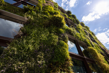 Green facade ecological eco plants on the building