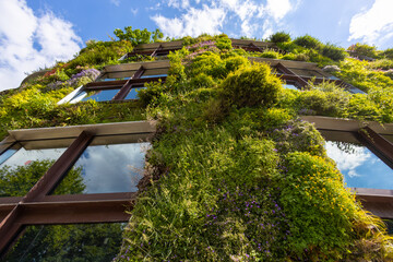 Green facade ecological eco plants on the building - 509769636