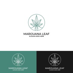 Cannabis oil drop logo design
