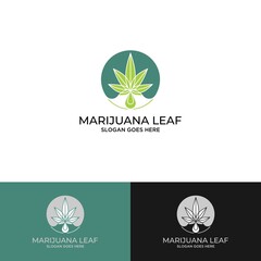 Cannabis oil drop logo design