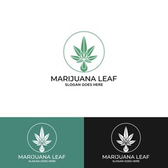 Fototapeta na wymiar Cannabis oil drop logo design