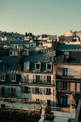 Fototapeta na wymiar rooftops of Paris