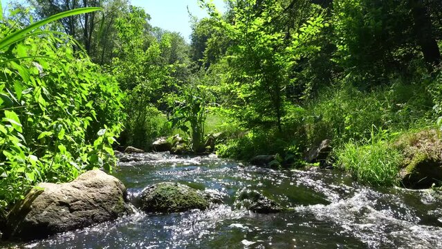Bergbach im Sommer - Bachlauf mit Steine und klarem Wasser
