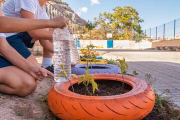 Dos niños irreconocibles regando las plantas con botellas de agua en el patio del colegio. Fotografía horizontal con espacio para texto.