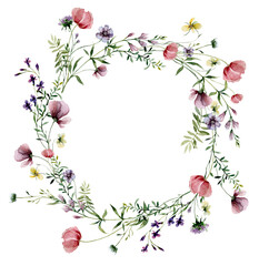 A frame of watercolour wildflowers. Watercolour illustration of meadow flowers for card, invitation, scrapbooking.