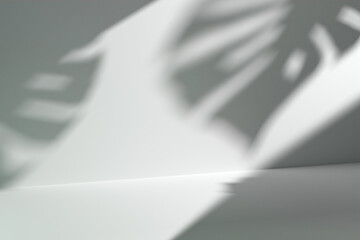 Showcase background with natural hard light and monstera plant leaves shadows. 3d illustration for brand identity banner. Perfect for product presentation, blog, thumbnail, social media post, branding