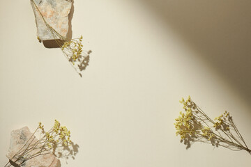 Flatlay minimal natural beige background with empty space. Template for branding and product presentation. Still life photo, table with rocks and dry plants