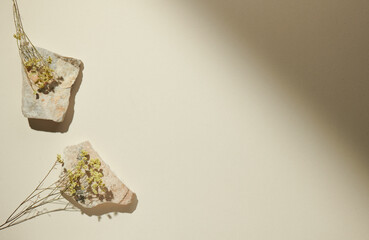 Flatlay minimal natural beige background with empty space. Template for branding and product presentation. Still life photo, table with rocks and dry plants